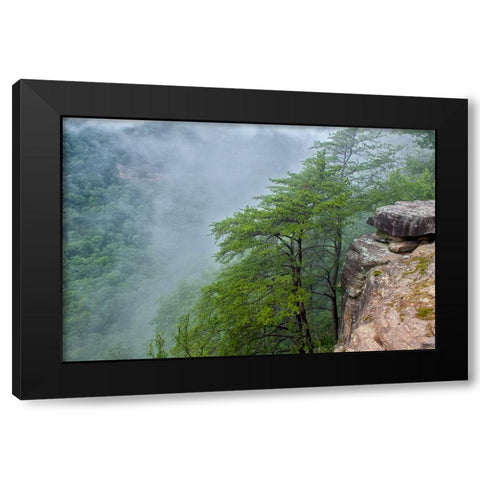 Scenic City 36 Black Modern Wood Framed Art Print by Lee, Rachel