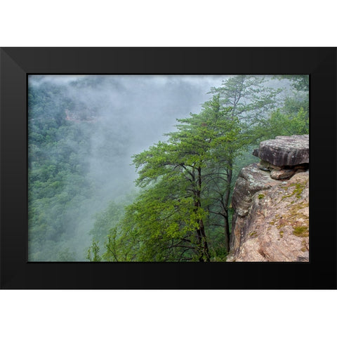 Scenic City 36 Black Modern Wood Framed Art Print by Lee, Rachel