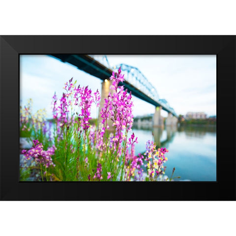 Scenic City 93 Black Modern Wood Framed Art Print by Lee, Rachel