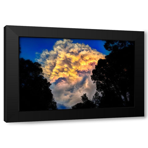 Signal Cloud Black Modern Wood Framed Art Print with Double Matting by Lee, Rachel