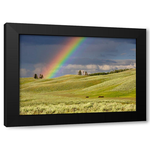 Sky 4 Black Modern Wood Framed Art Print by Lee, Rachel