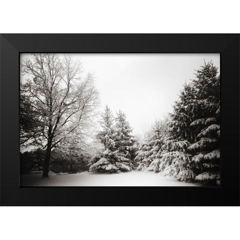 Snow Trees Black Modern Wood Framed Art Print by Lee, Rachel