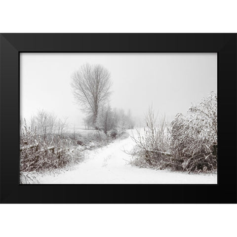 Snowy Farm Black Modern Wood Framed Art Print by Lee, Rachel