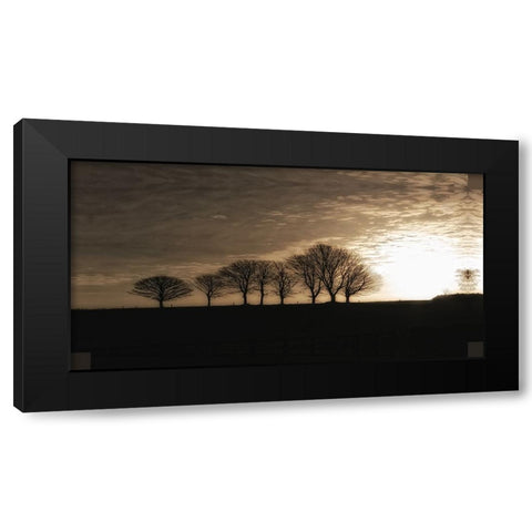 Solitary Trees Black Modern Wood Framed Art Print by Lee, Rachel