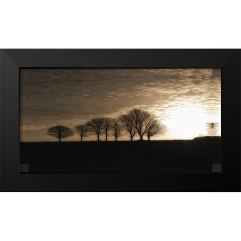 Solitary Trees Black Modern Wood Framed Art Print by Lee, Rachel