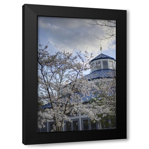 Spring Carousel Black Modern Wood Framed Art Print by Lee, Rachel