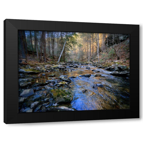 Stinging Fork Creek 2 Black Modern Wood Framed Art Print by Lee, Rachel