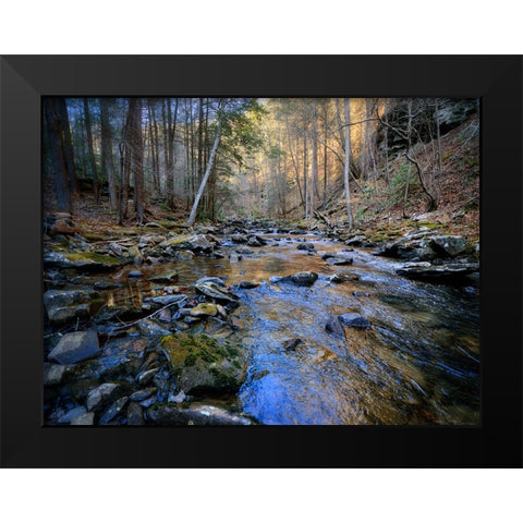 Stinging Fork Creek 2 Black Modern Wood Framed Art Print by Lee, Rachel