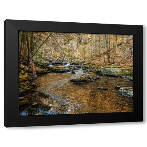 Stinging Fork Creek 3 Black Modern Wood Framed Art Print with Double Matting by Lee, Rachel