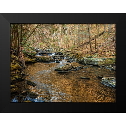 Stinging Fork Creek 3 Black Modern Wood Framed Art Print by Lee, Rachel