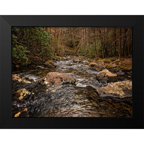 Stinging Fork Creek 4 Black Modern Wood Framed Art Print by Lee, Rachel