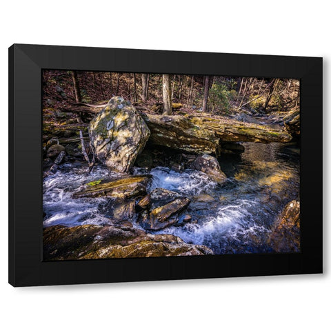 Stinging Fork Creek 7 Black Modern Wood Framed Art Print by Lee, Rachel