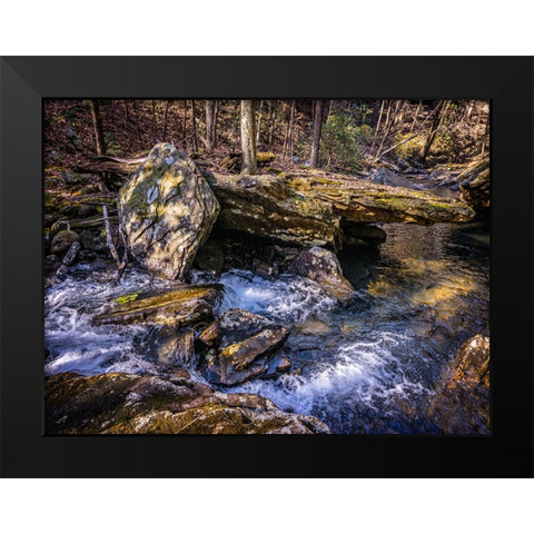 Stinging Fork Creek 7 Black Modern Wood Framed Art Print by Lee, Rachel