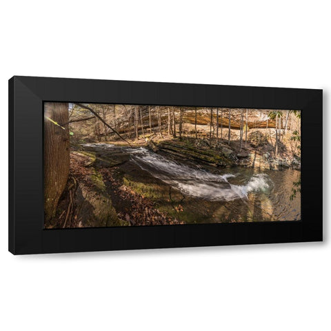 Stinging Fork Slide 3 Black Modern Wood Framed Art Print with Double Matting by Lee, Rachel