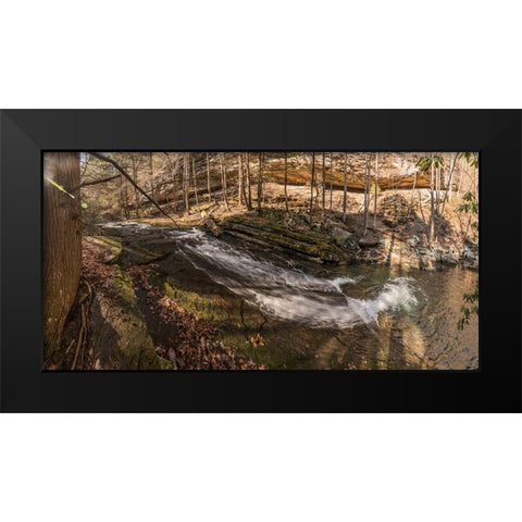 Stinging Fork Slide 3 Black Modern Wood Framed Art Print by Lee, Rachel