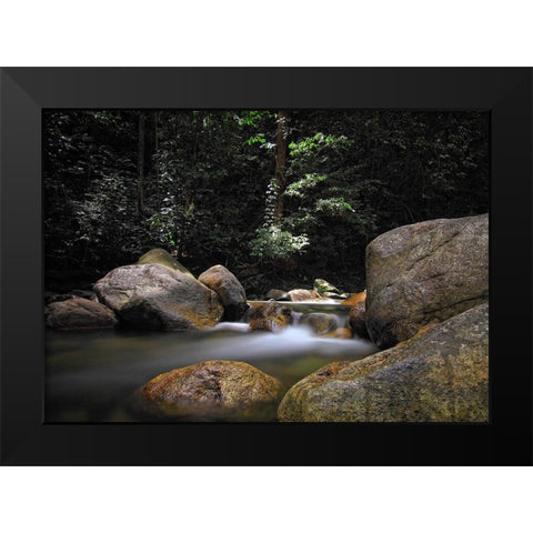 Stream 10 Black Modern Wood Framed Art Print by Lee, Rachel
