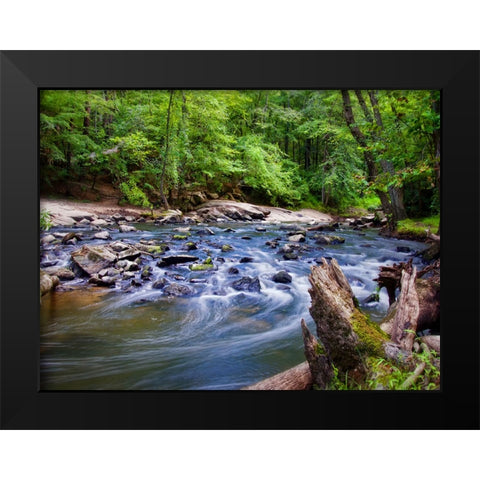 Stream 12 Black Modern Wood Framed Art Print by Lee, Rachel