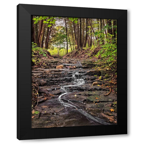 Stream 20 Black Modern Wood Framed Art Print by Lee, Rachel