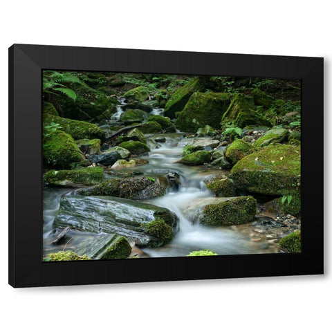 Stream 9 Black Modern Wood Framed Art Print by Lee, Rachel