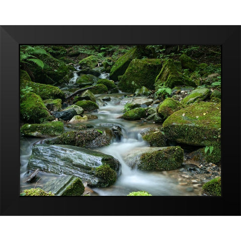 Stream 9 Black Modern Wood Framed Art Print by Lee, Rachel