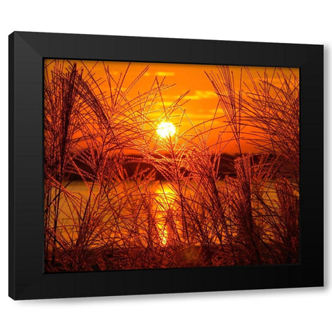 Sunset Lake 3 Black Modern Wood Framed Art Print with Double Matting by Lee, Rachel