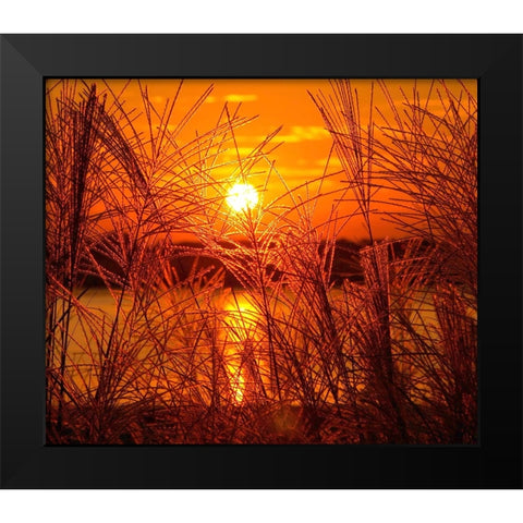 Sunset Lake 3 Black Modern Wood Framed Art Print by Lee, Rachel