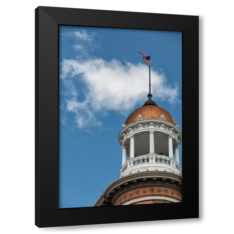 The Dome Black Modern Wood Framed Art Print by Lee, Rachel