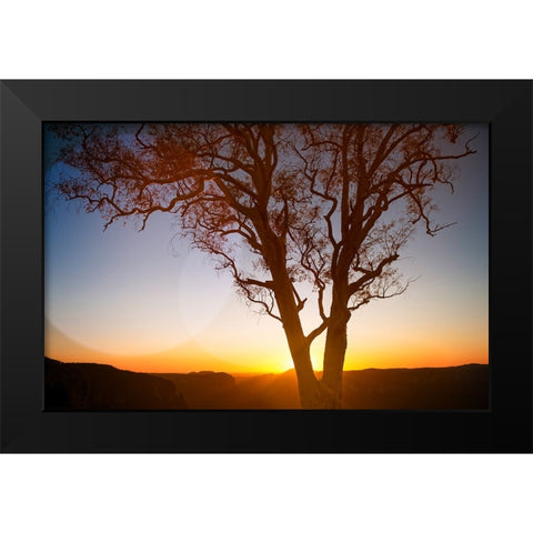 Tree Sunset 1 Black Modern Wood Framed Art Print by Lee, Rachel