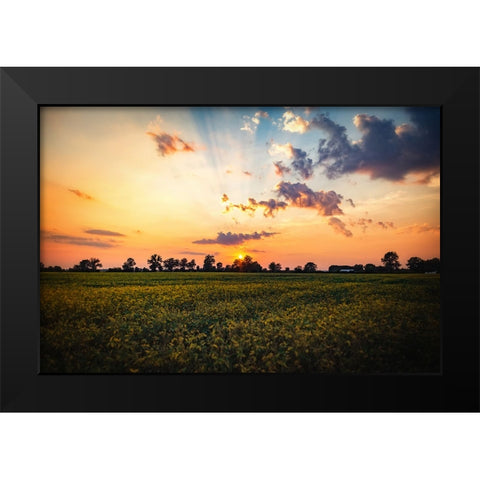 Tree Sunset 2 Black Modern Wood Framed Art Print by Lee, Rachel