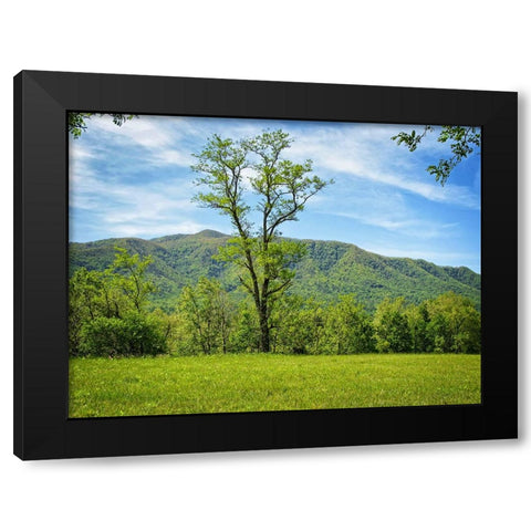 Trees 12 Black Modern Wood Framed Art Print by Lee, Rachel
