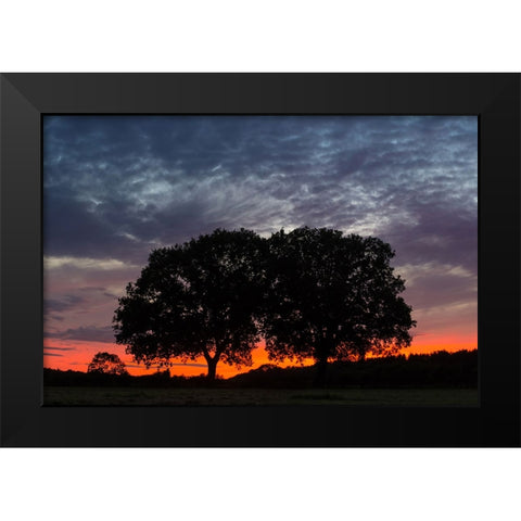 Trees 14 Black Modern Wood Framed Art Print by Lee, Rachel