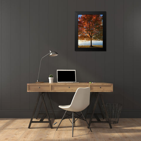 Trees 15 Black Modern Wood Framed Art Print by Lee, Rachel