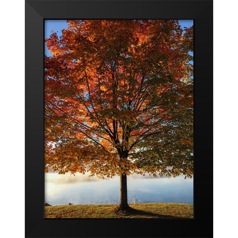 Trees 15 Black Modern Wood Framed Art Print by Lee, Rachel
