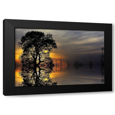 Trees 16 Black Modern Wood Framed Art Print with Double Matting by Lee, Rachel