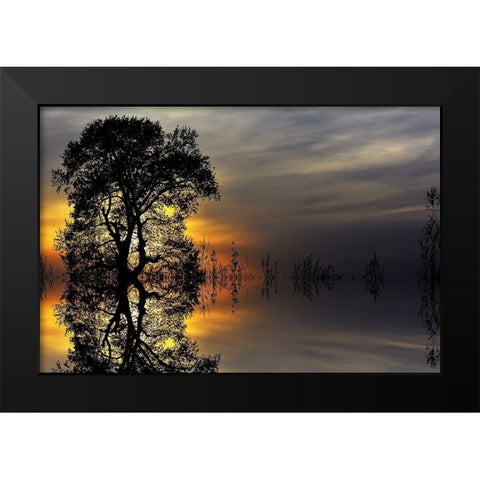 Trees 16 Black Modern Wood Framed Art Print by Lee, Rachel