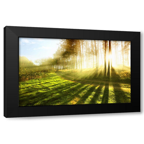 Trees 18 Black Modern Wood Framed Art Print by Lee, Rachel