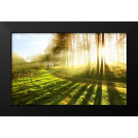 Trees 18 Black Modern Wood Framed Art Print by Lee, Rachel