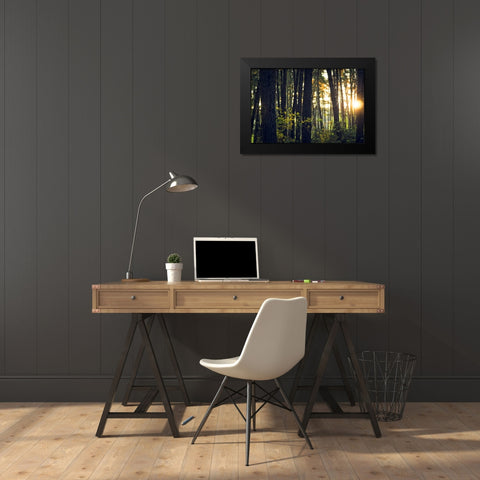 Trees 19 Black Modern Wood Framed Art Print by Lee, Rachel