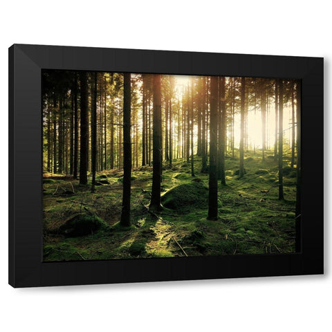 Trees 20 Black Modern Wood Framed Art Print by Lee, Rachel