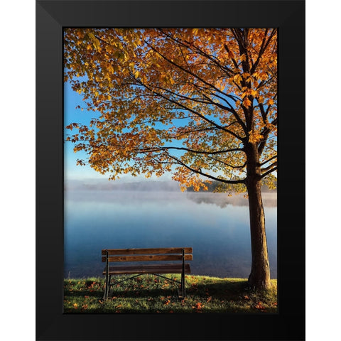 Trees 21 Black Modern Wood Framed Art Print by Lee, Rachel