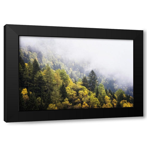 Trees 23 Black Modern Wood Framed Art Print with Double Matting by Lee, Rachel