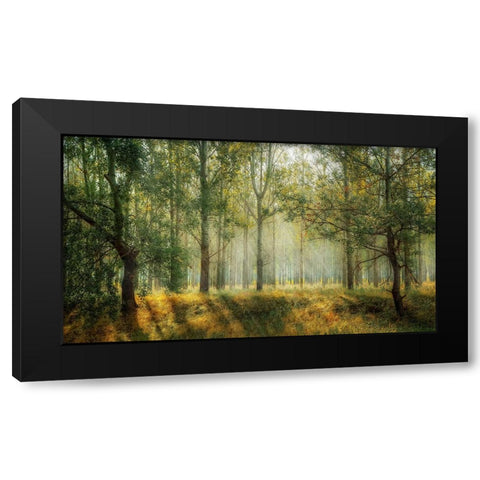 Trees 27 Black Modern Wood Framed Art Print with Double Matting by Lee, Rachel