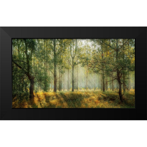 Trees 27 Black Modern Wood Framed Art Print by Lee, Rachel