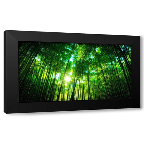 Trees 31 Black Modern Wood Framed Art Print by Lee, Rachel