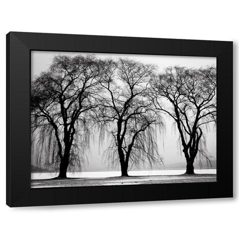 Trees 32 Black Modern Wood Framed Art Print with Double Matting by Lee, Rachel