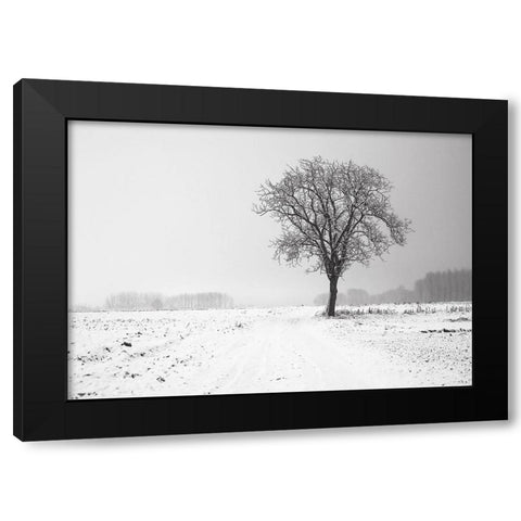 Trees 33 Black Modern Wood Framed Art Print by Lee, Rachel