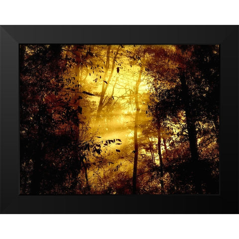 Trees 34 Black Modern Wood Framed Art Print by Lee, Rachel