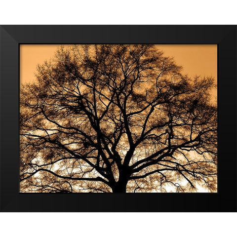 Trees 35 Black Modern Wood Framed Art Print by Lee, Rachel
