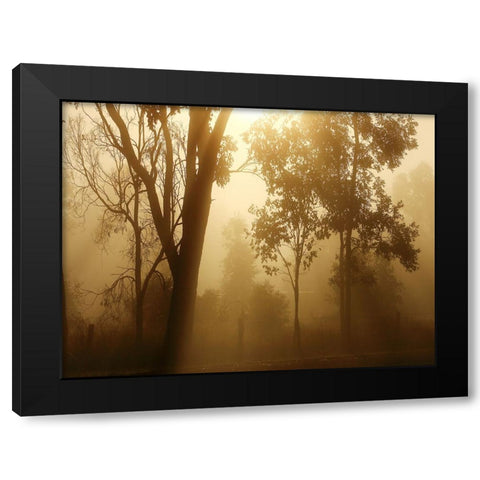 Trees 37 Black Modern Wood Framed Art Print by Lee, Rachel