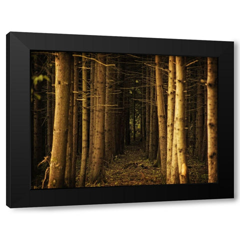 Trees 39 Black Modern Wood Framed Art Print by Lee, Rachel